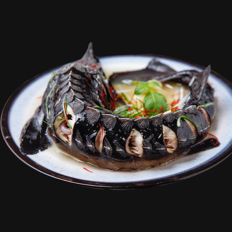 鲟龙鱼 食用新鲜鲟龙鱼冷水鱼 现抓现杀鲟鱼中华鱼软骨无刺食用鱼年货