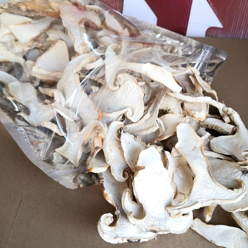 伟博雪茸菌礼盒装菌雪山松茸云南特产送人大气250克装保障雪茸菌礼盒