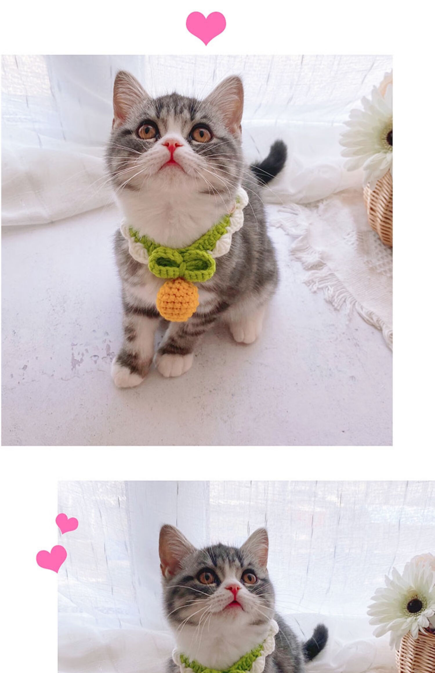 手工针织猫咪围脖无声铃铛狗狗项圈宠物猫猫围巾领结窄边蝴蝶结樱桃m