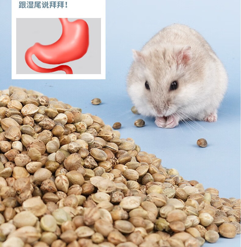 仓鼠粮主粮五谷金丝熊粮鼠粮食物用品饲料零食营养套餐 蔬菜干500ml