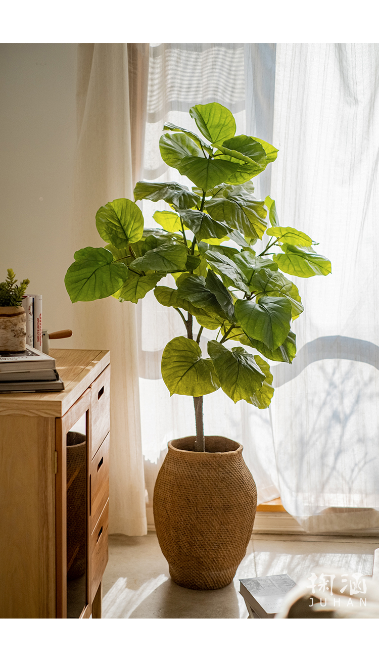 掬涵大型仿真大型綠植心葉榕植物盆景網紅落地擺件客廳民宿北歐盆栽