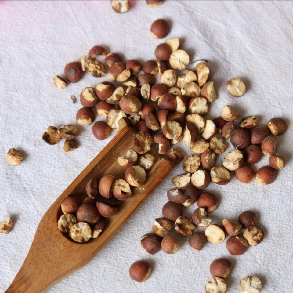 同仁堂炒芡实500g炒熟芡实泡水煮粥麸炒芡实炒熟的芡实另有芡实果