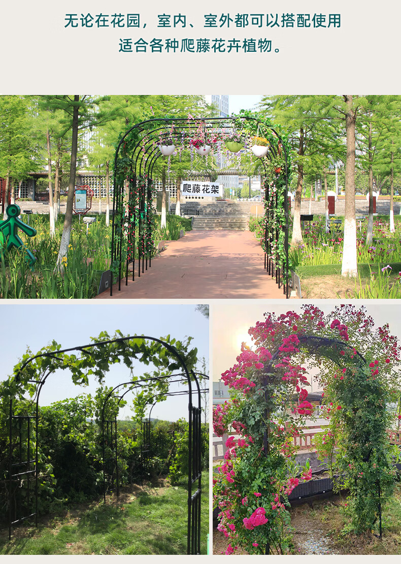 葡萄架庭院户外别墅花园蔷薇爬藤架攀爬植物支架拱门花架引路架子宽15