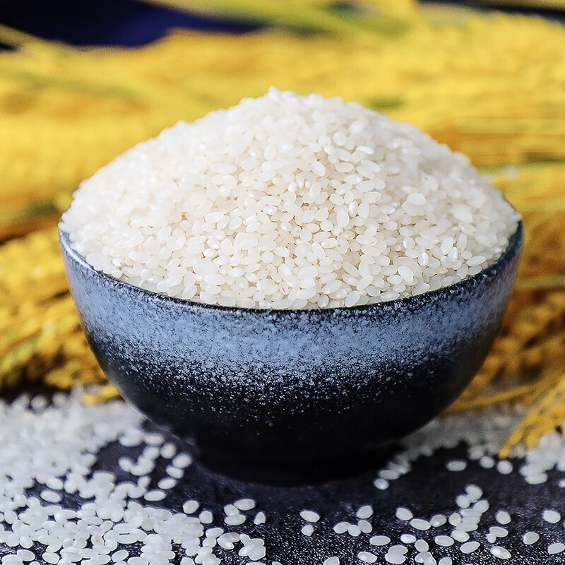 粮管家羊脂雪米5kg10斤大米新米非东北大米大米家用香米稻米乳玉香米