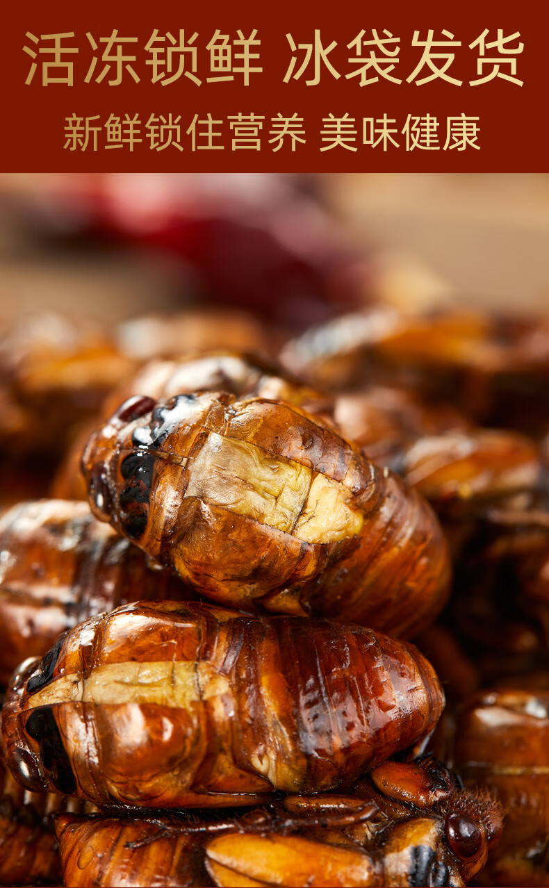 爵妃新货知了猴活体速冻金蝉结了龟鲜活蝉蛹山东特产新鲜爬叉猴200只