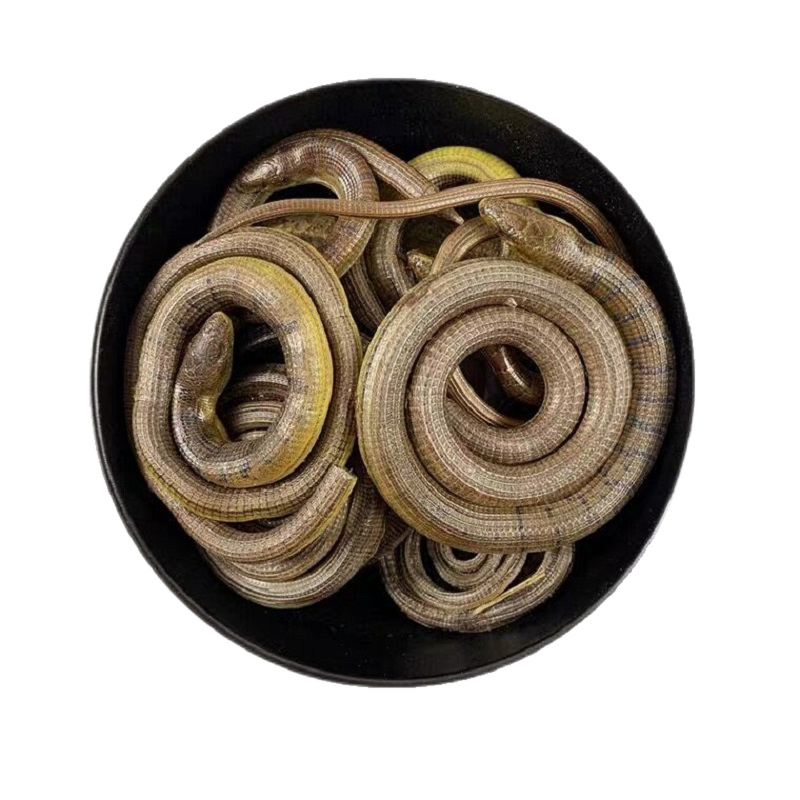 迎亿堂 脆蛇 碎蛇 中药材 翠蛇 山黄鳝地鲜 整盘无断节 10-100克 100