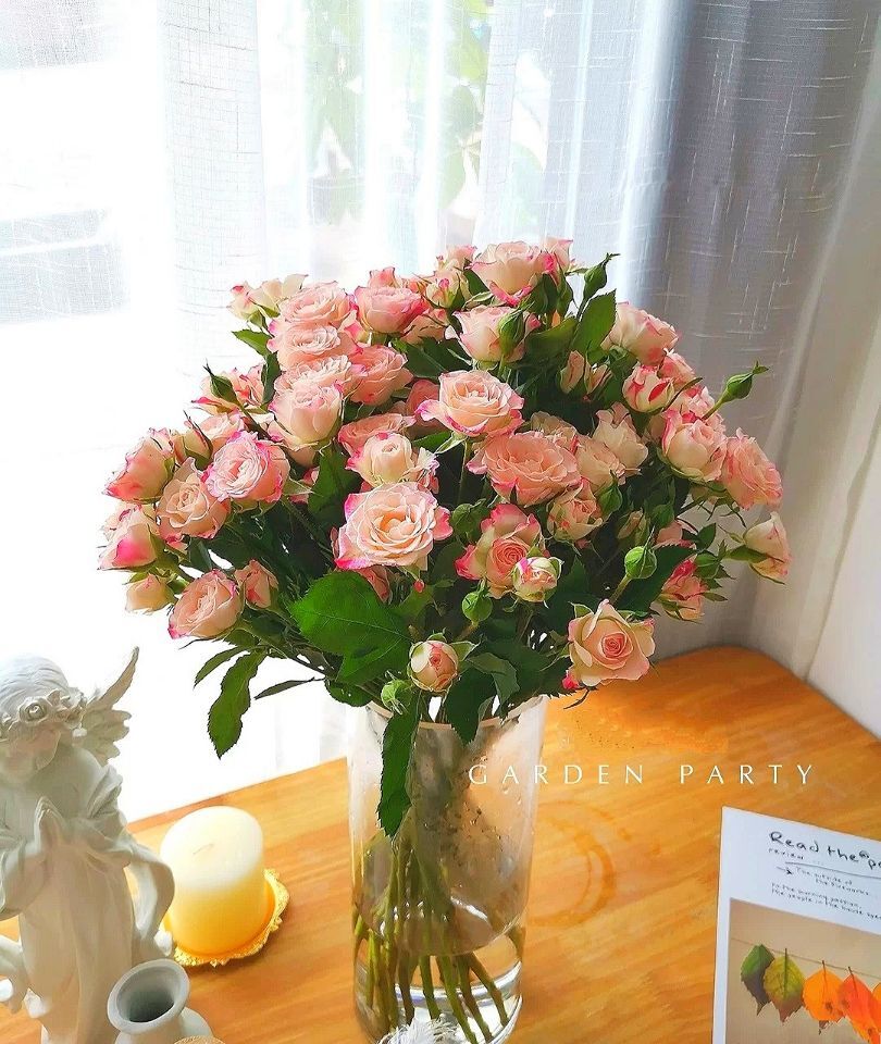 多头玫瑰蔷薇粉蝴蝶巧克力折射泡泡家庭生活用花瓶插云南鲜花巧克力十