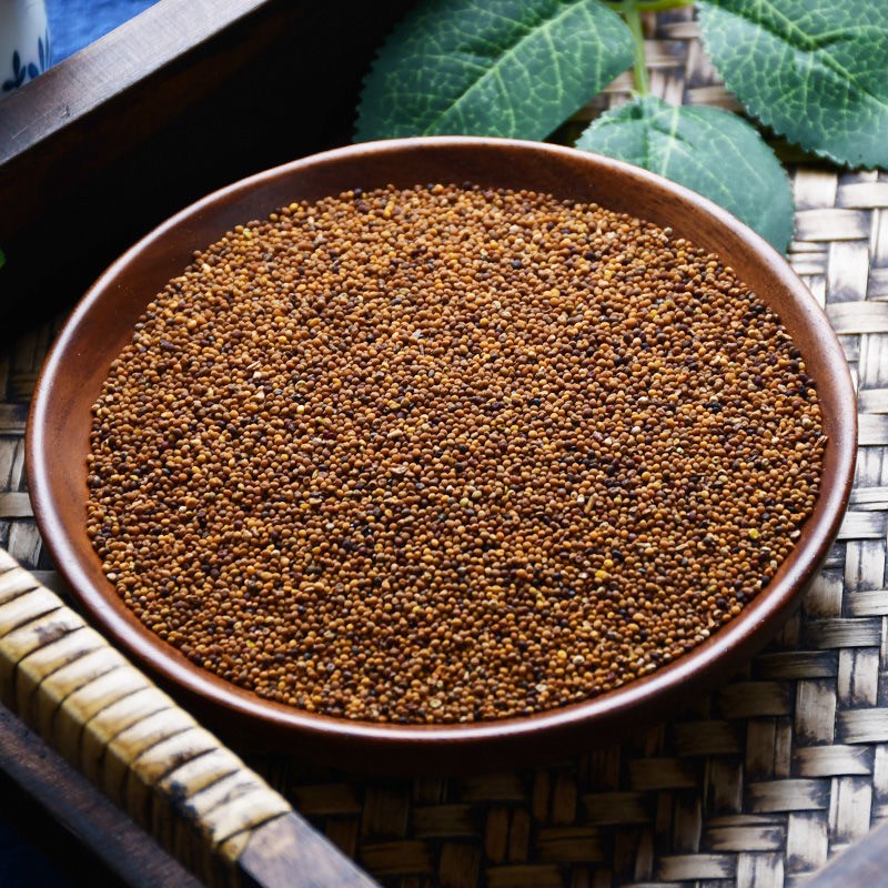 同仁堂菟丝子兔丝子水洗吐丝子泡酒无根藤萝丝子中药材500g