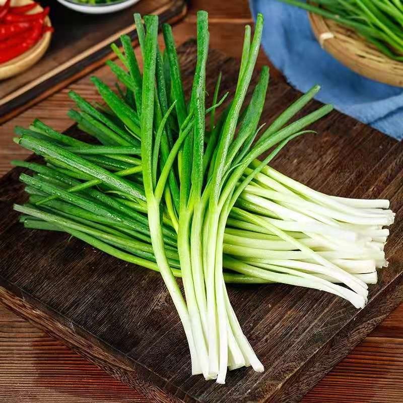山东农家自种新鲜蔬菜小香葱农家小葱香葱蘸酱菜5斤