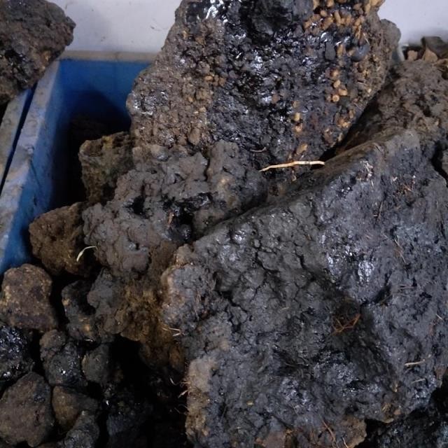 【优选】 2022新货】中药材猴结 猴竭 实物拍摄血灵芝 脂 乌猿结500克