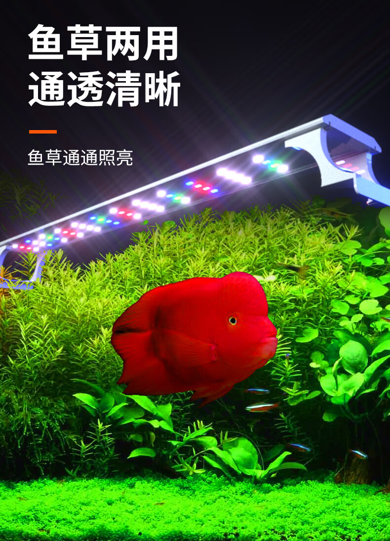 鱼之家鱼缸灯小型led照明灯三色增艳防溅水超亮节能支架水草灯吊灯