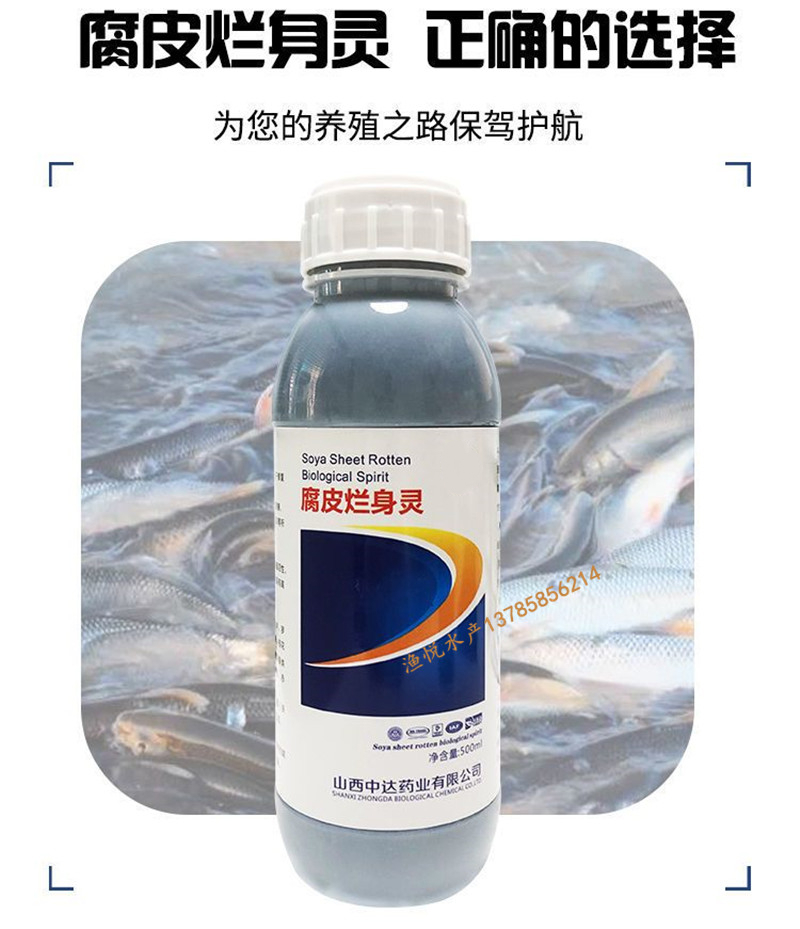腐皮烂身灵水产鱼药腐皮病出血病烂鳃泥鳅黄鳝罗非鱼塘消毒杀菌药500