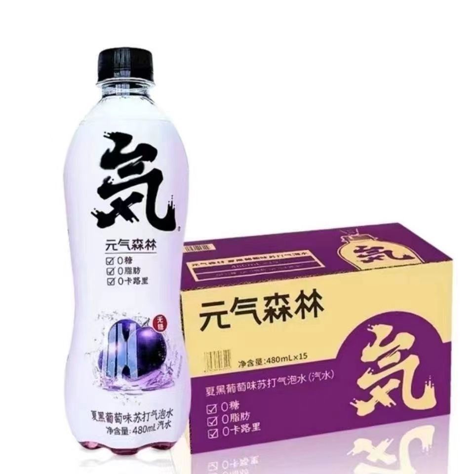 元气l森林气泡水整箱480ml15瓶六种口味可混拼冲量7月海盐菠萝整箱