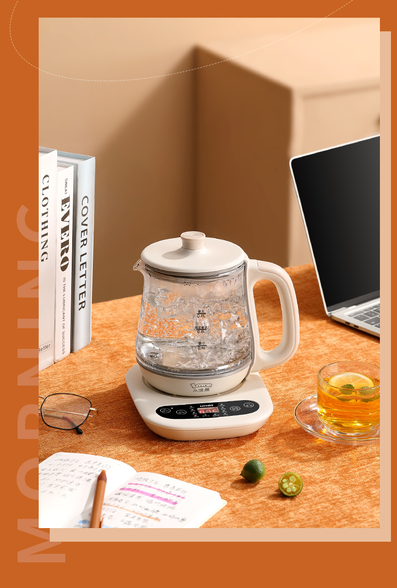 小浣熊养生壶家用小型迷你办公室煮茶器多功能烧水壶白色标准款