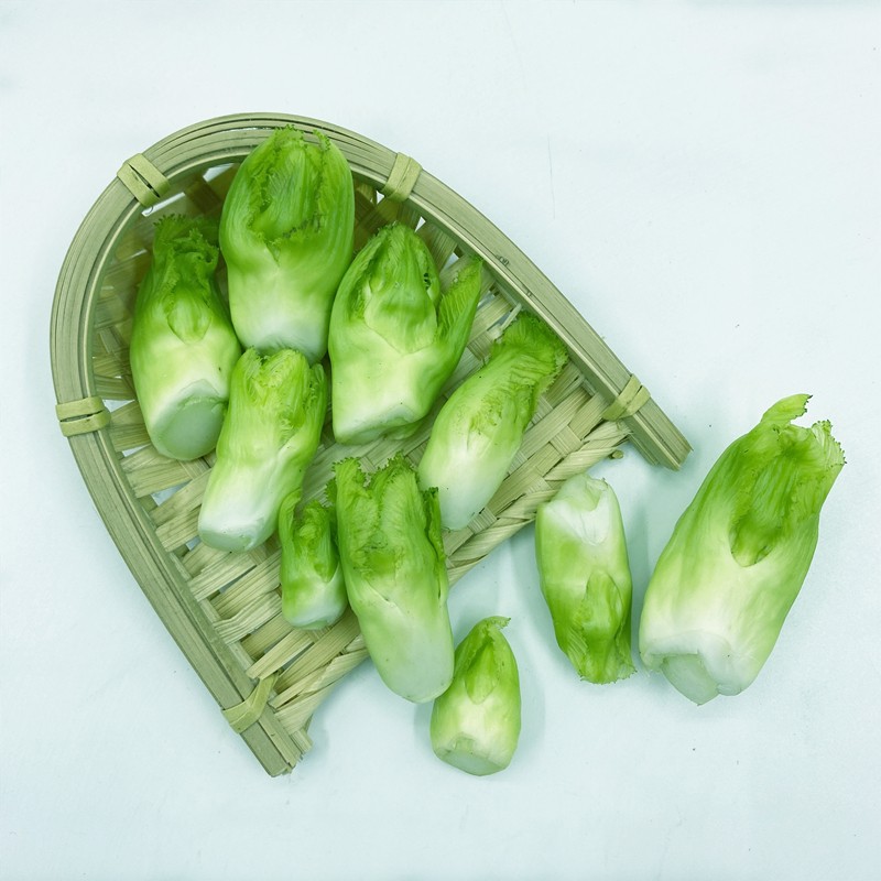 当季新鲜儿菜235斤蔬菜时令嫩儿仔农家娃娃菜抱子芥菜泡菜原料2斤