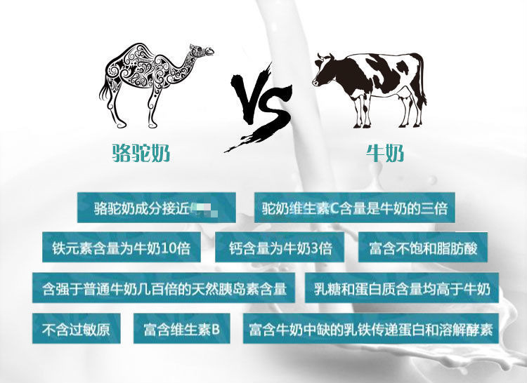 迪拜原装camelaitalain纯骆驼奶粉400g成人无糖驼乳粉中老年男女400克