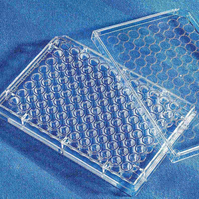 corning/康宁 175cm正方斜口细胞培养瓶,5个/包10包/箱,431079【图片