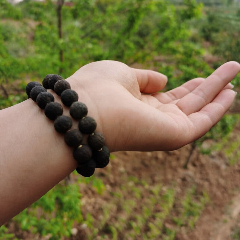 魅星紫青皮子手串柑胎手链青皮子陈皮果小青柑手镯佛珠8mm