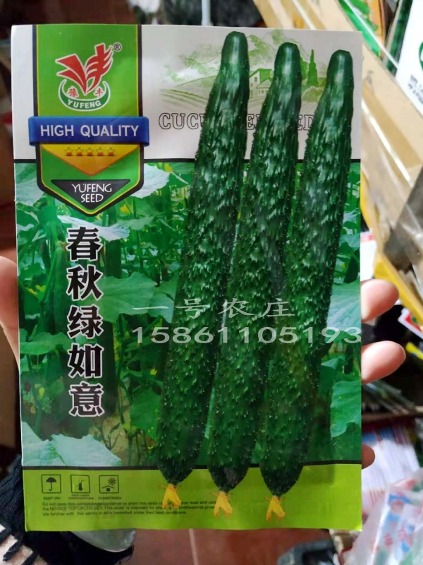 水果黄瓜种籽荷兰小各种蔬菜种子孑旱田园早春夏四季阳台 3包津优一号