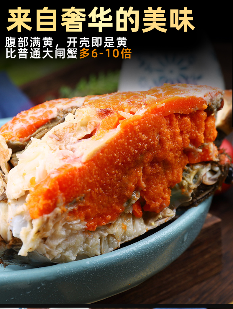 海皇湾面包蟹鲜活熟冻大海鲜螃蟹梭子蟹海蟹黄金蟹英国满黄珍宝蟹