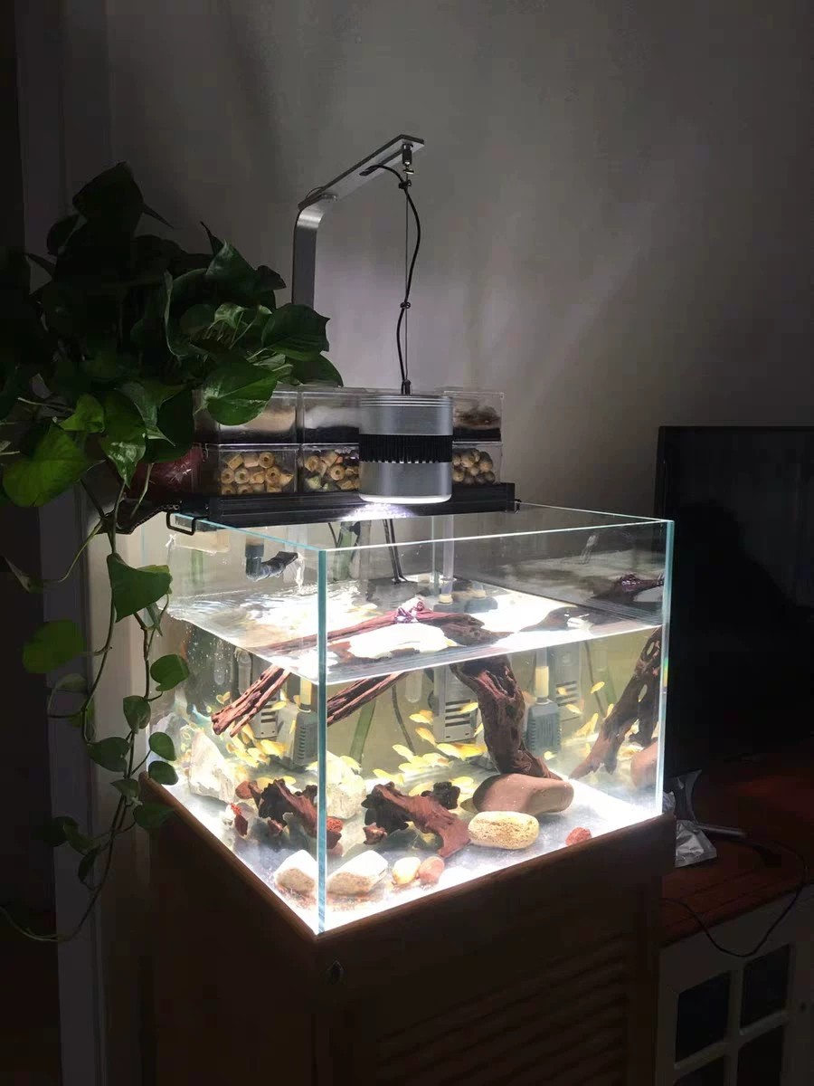 全光谱爆藻灯爆苔灯鱼缸灯照明灯青苔灯绿苔灯绿毛灯70瓦爆藻灯app调