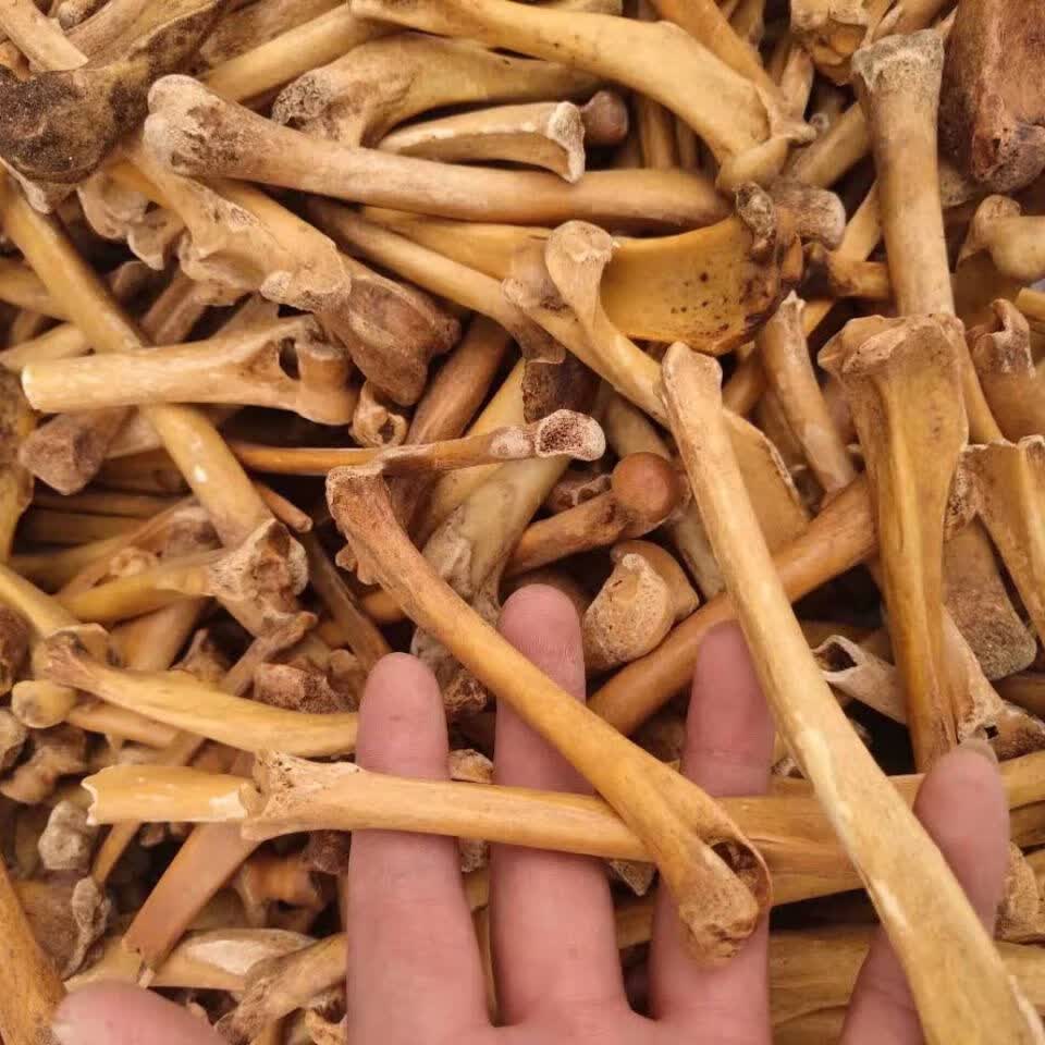 北京同仁堂原料中药材狗骨头粉煅狗骨头炒制狗骨头粉