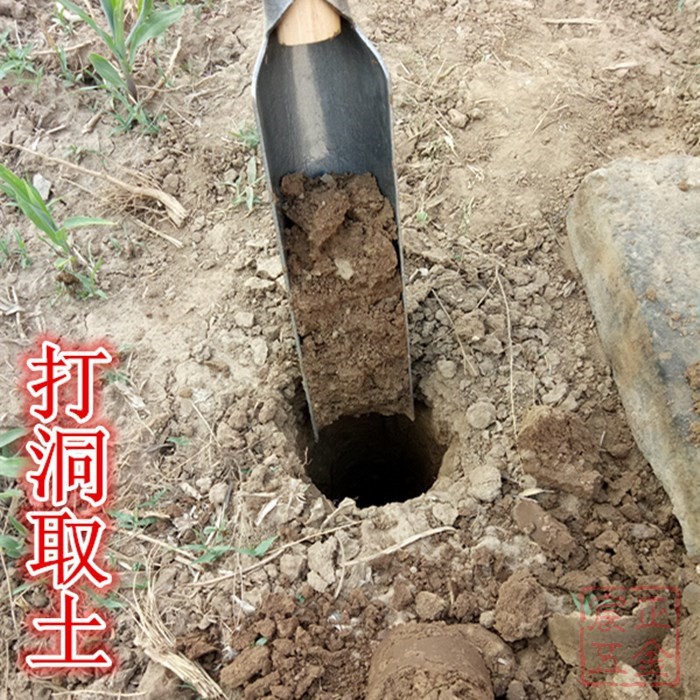 户外电杆坑挖坑洛阳铲人工挖井工具取土打洞园林挖树栽苗半大铲头1个