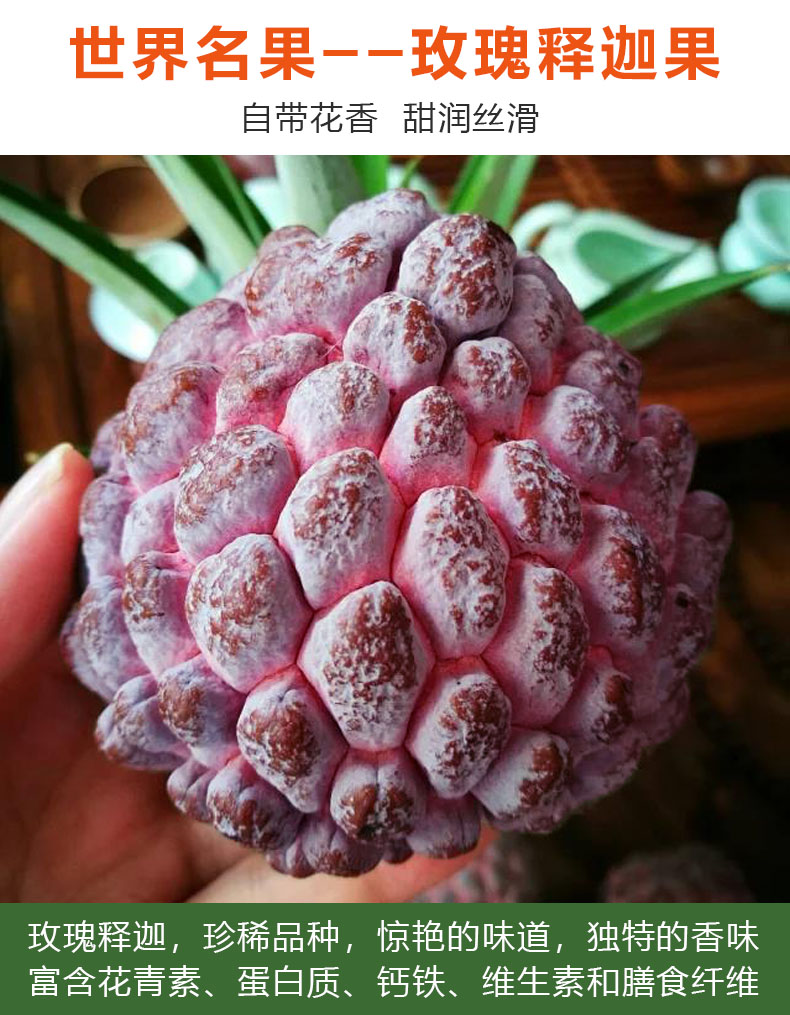 现货 顺丰直达 海南玫瑰释迦水果新鲜孕妇红释迦摩尼果佛心果番 q坏果