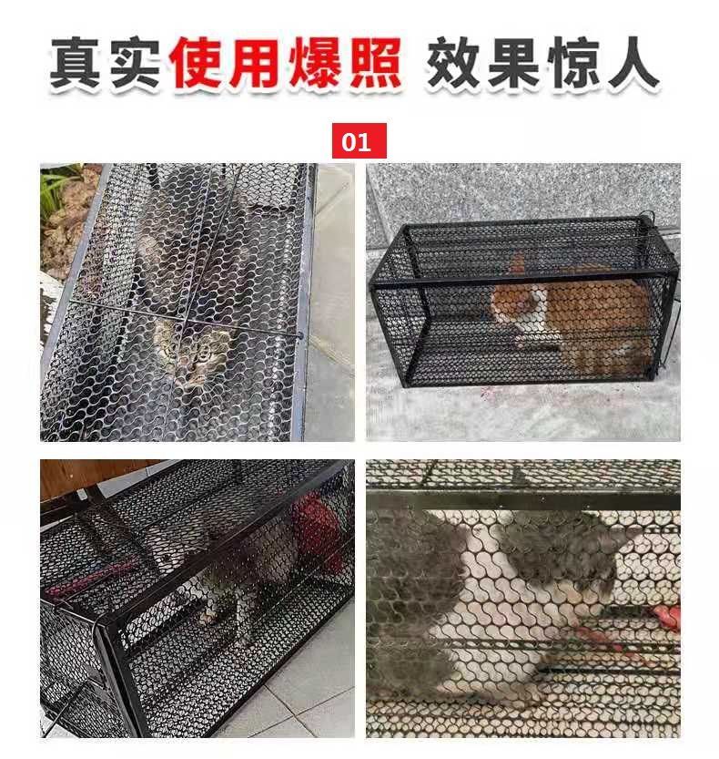 抓猫笼大号抓猫神器捕猫器笼多功能猫笼寻猫笼捕猫笼捉猫笼子 小号40*