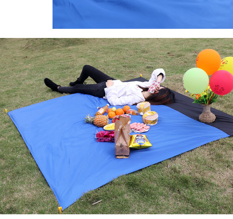 翩翩思汝 户外野炊垫子超大尺寸防潮垫防水便携口袋野餐垫多人户外