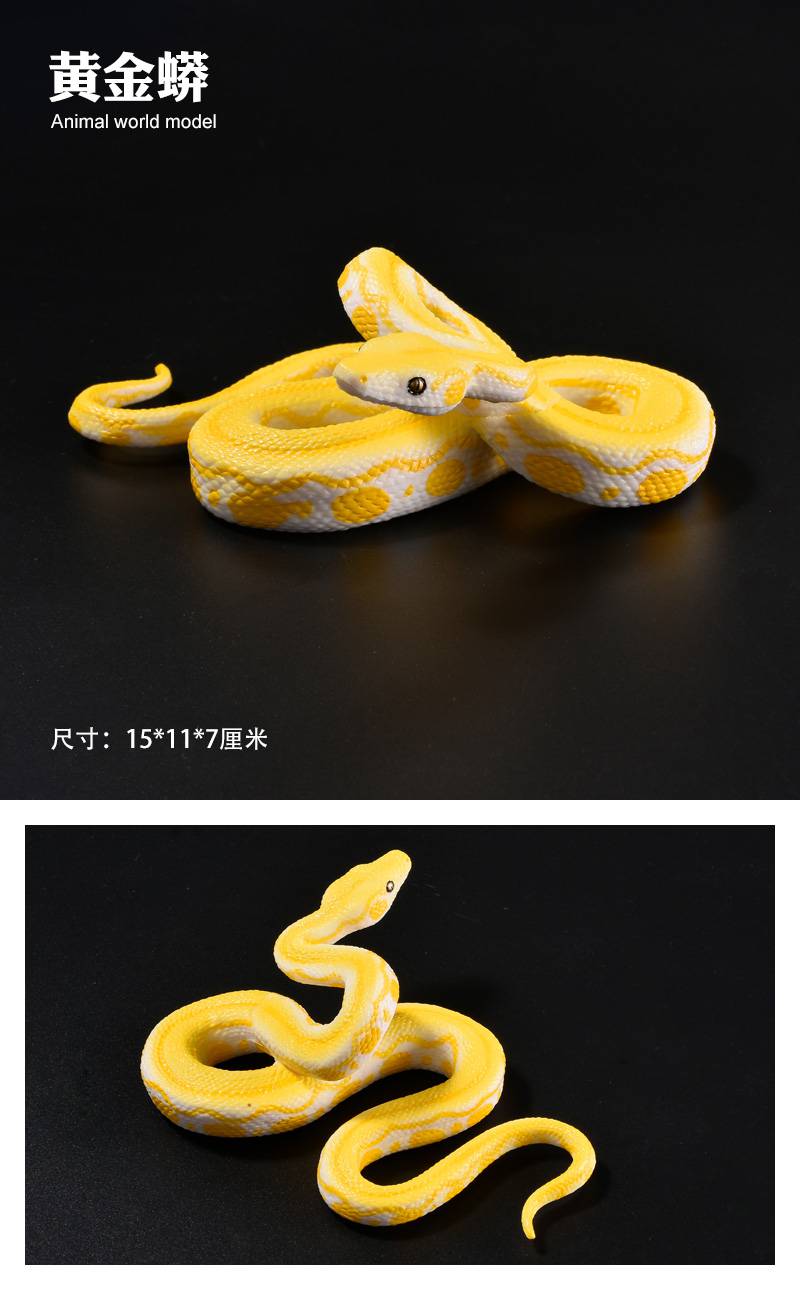 黄金蟒蛇 儿童仿真野生动物玩具模型蛇眼镜蛇蟒蛇响尾蛇草蛇黄金蟒 大