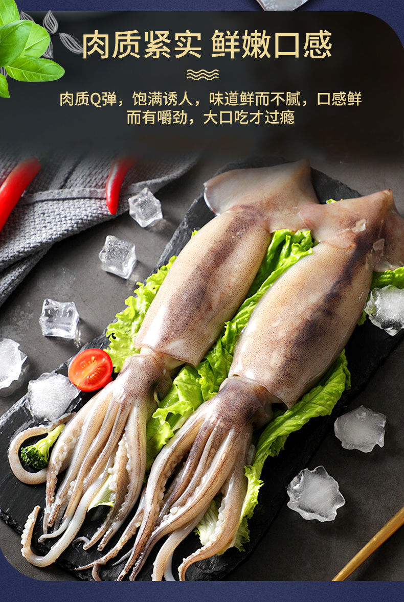新鲜味道好【中号鱿鱼】深海海捕大西洋冷冻鱿鱼野生新鲜大鱿鱼整只