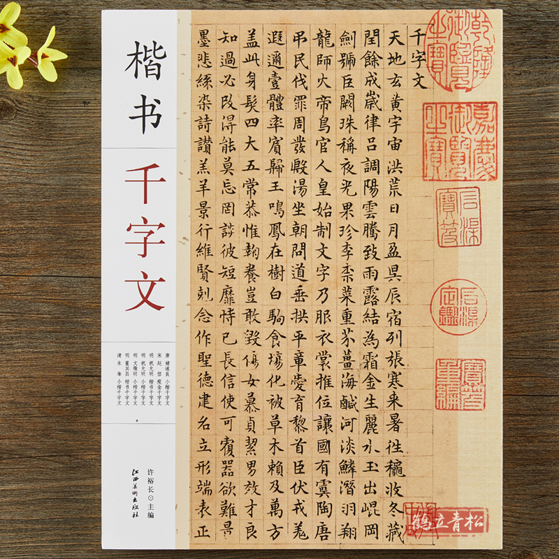 褚遂良赵佶祝允明文徵明董其昌朱耷楷书千字文 毛笔书法楷书字帖附