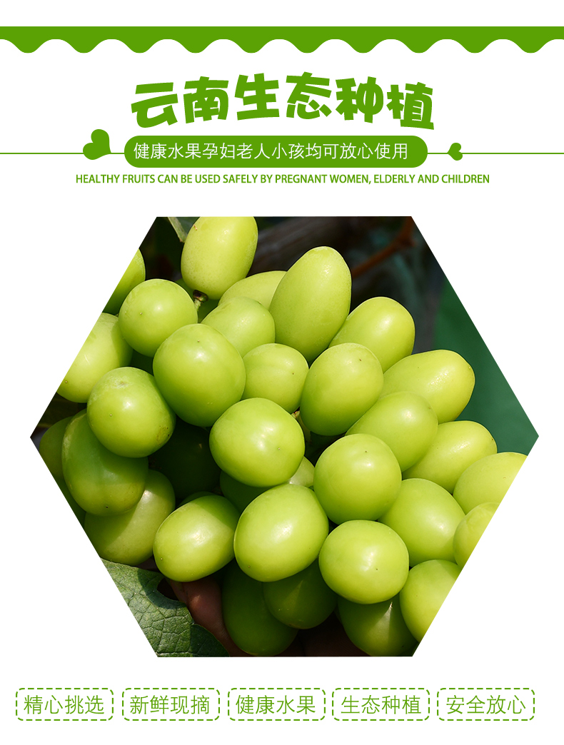 阳光玫瑰葡萄大果情王青提青王新鲜水果秦王青葡萄3斤