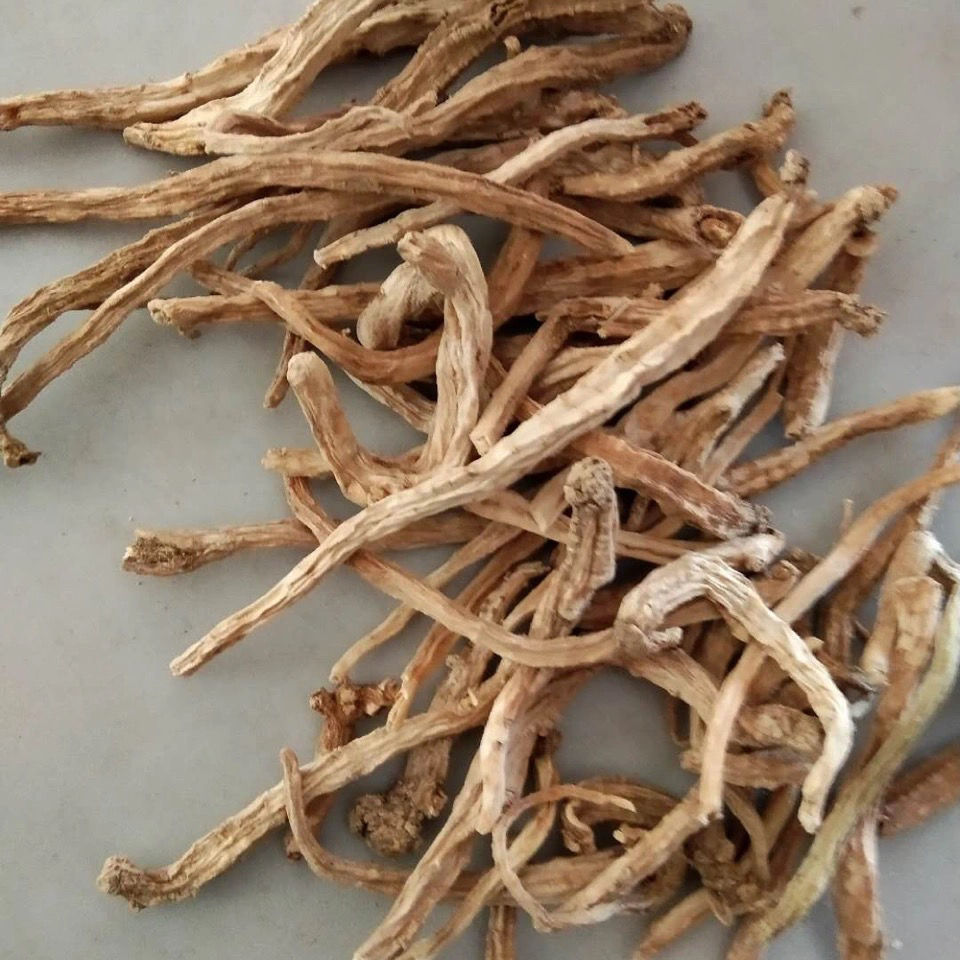 伟博党参农家无硫正宗野生土党参野党参煲汤泡酒野生山