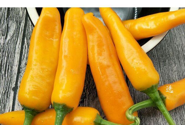 现发福建永安黄椒特辣超辣新鲜小辣椒椒朝天椒福鼎肉片辣椒食三舍230