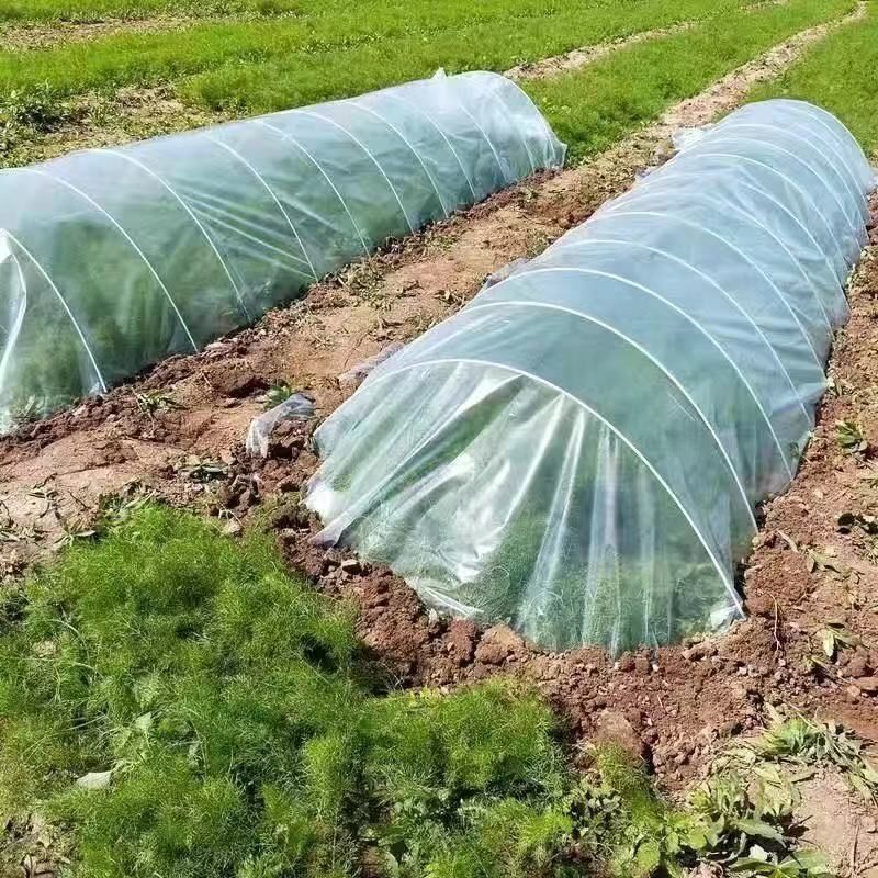 新型小拱棚支架家用菜地支撑大棚骨架保温暖棚玻璃钢纤维杆弹力棒