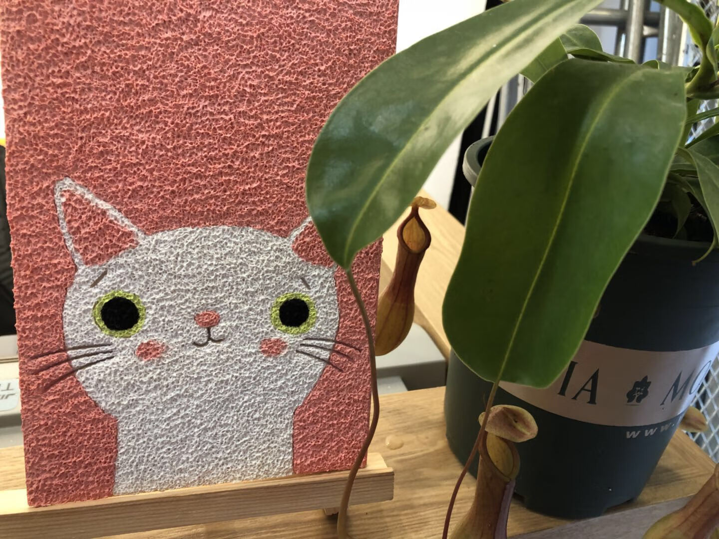 卡通动物纸浆画材料包打发时间手工diy9只猫咪立体创意礼物a5材料包无