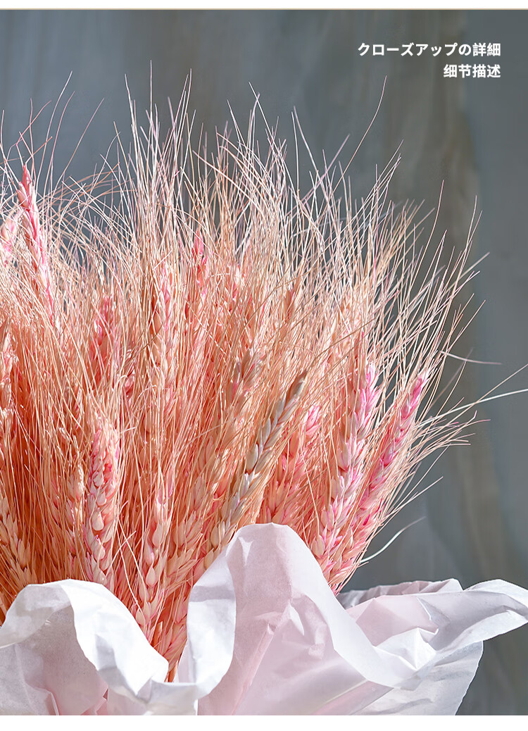 大麦花束桌面麦穗干花花束装饰摆件家居客厅摆设轻奢真花小麦开业大麦