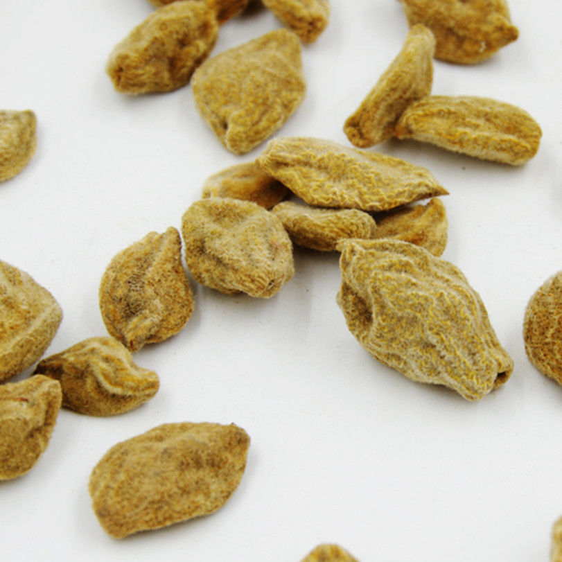 中药材新货碧桃干 瘪桃干 桃奴 阴桃毛桃精选碧桃干 1000克【图片