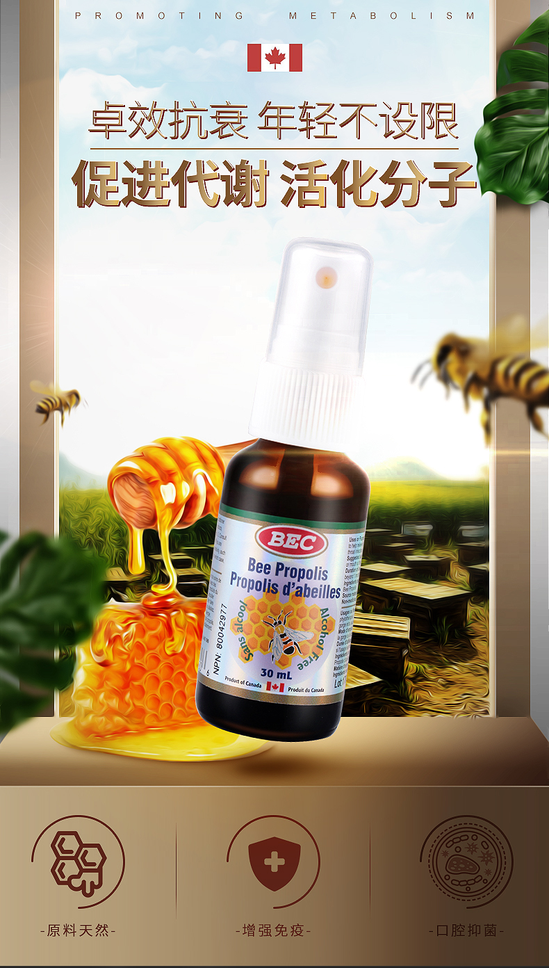 优斯达康加拿大进口液体蜂胶喷剂30ml瓶口腔喷雾舒缓咽喉痛无酒精海外