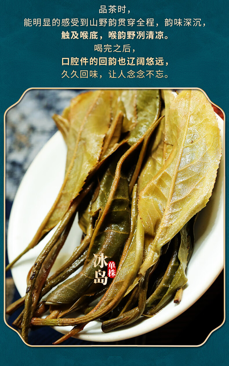 新益号 茶叶冰岛古树生生茶定采单株古树茶散茶云南临沧冰岛单株古树