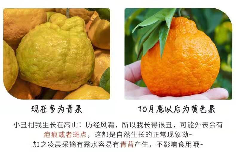 炳旺升四川带箱10斤不知火丑橘丑柑丑八怪丑桔子当季新鲜孕妇水果235