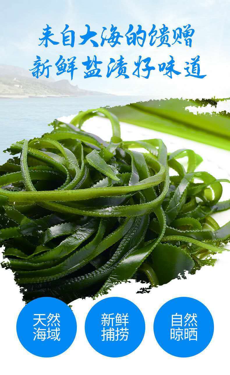 海藻菜的功效图片