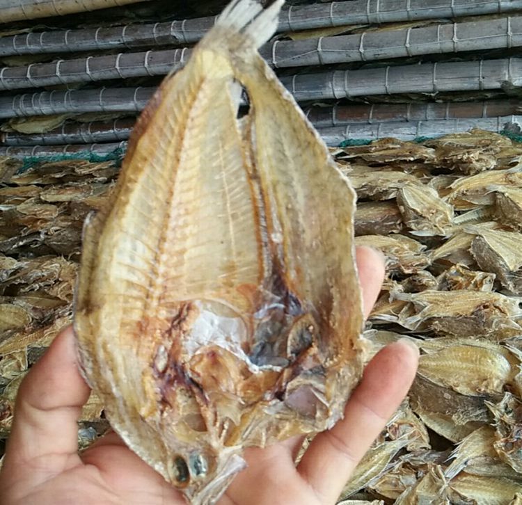 大号大地鱼干北海特产海鲜干货正宗是铁脯鱼比目鱼干煲汤调料滋补中号
