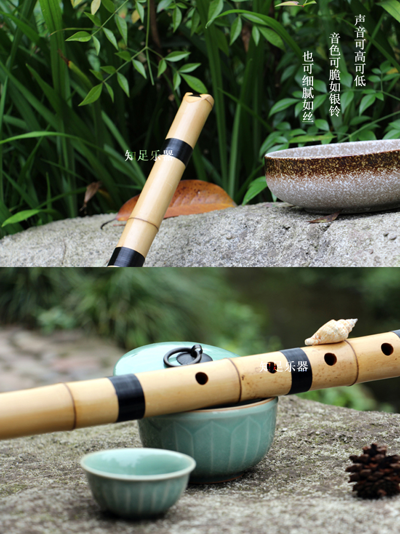 玉屏箫笛入门级桂竹尺八箫乐器五孔民族吹奏乐器e管