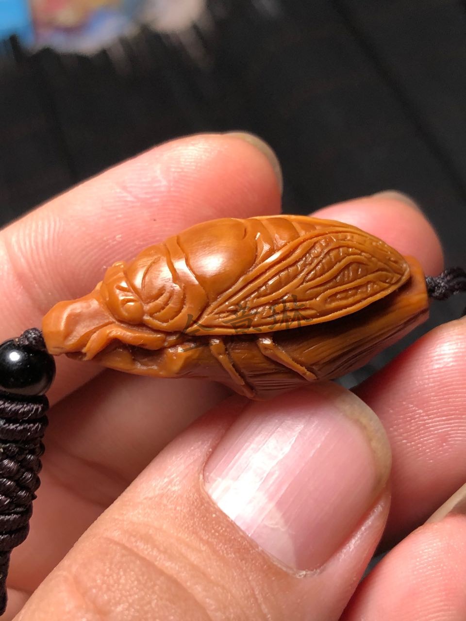 全意琳 橄榄核雕单颗吊坠金蝉单籽知了一鸣惊人手机挂件车钥匙扣文玩