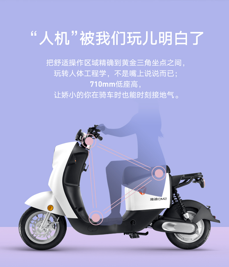 雅迪dm2电动车48v锂电池新国标电动自行车代步都市畅行男女通用炫彩版