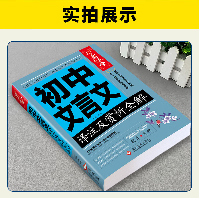 学霸课堂-初中文言文译注及赏析全解文文言文译注全解赏析初中言文知识提升辅导资料书 初中文言文译注及赏析全解 无规格详情图片7