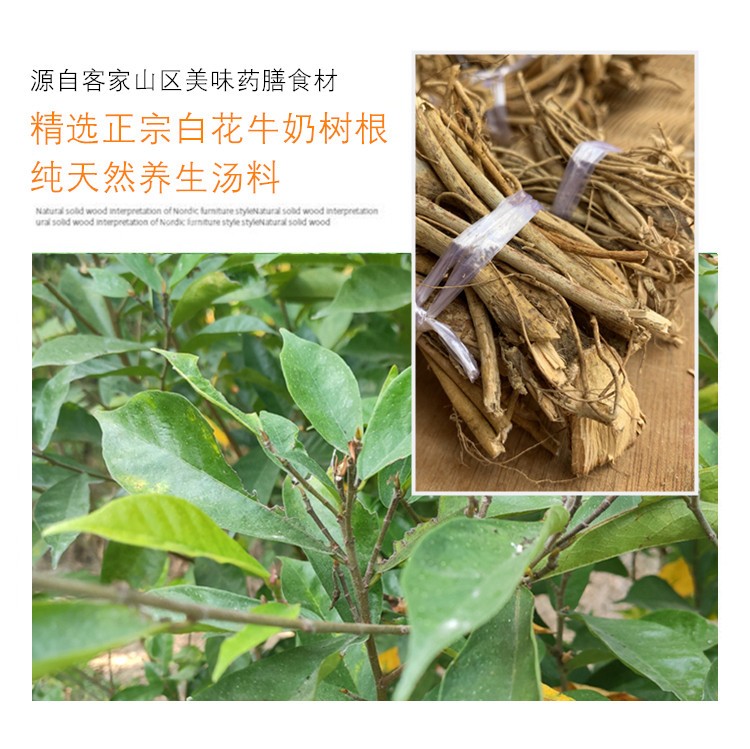 【優選】梅州白花牛奶樹根 根 牛乳根500克客家藥根雞煲湯料 圖片色